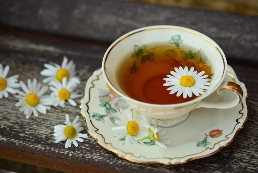 keep skin young by drinking a cup of tea on a bench and chamomile flowers