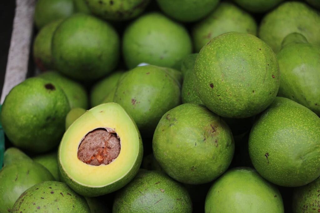 Avocado antioxidant-rich food that helps keep skin youthful