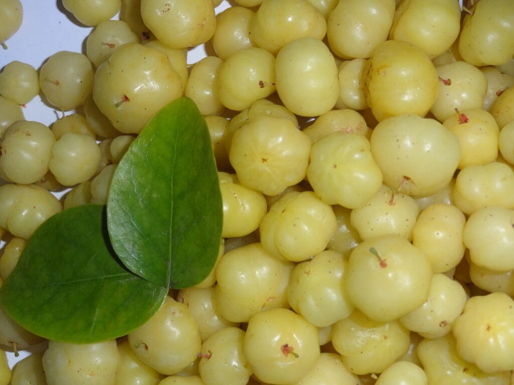 amla berries