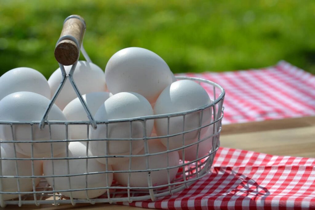 Boiled eggs in a metal bowl on a cozy blanket, packed with proline and amino acids—collagen-boosting foods that make you younger.