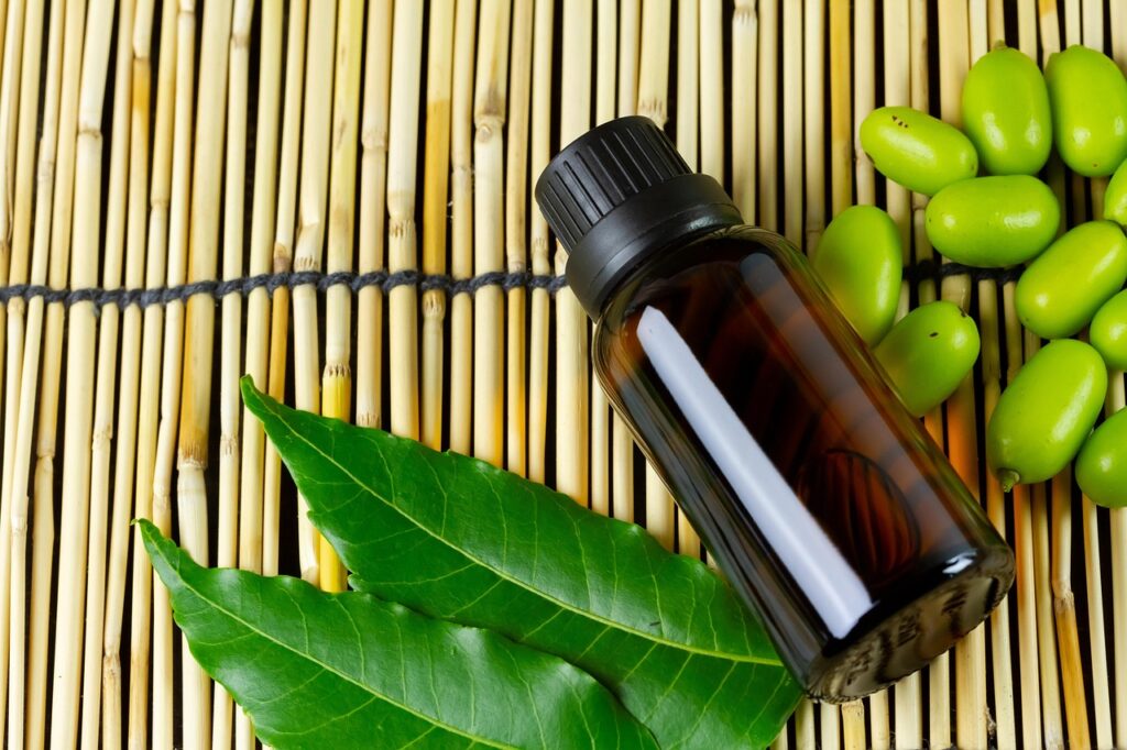 neem leaves and a bottle of oil