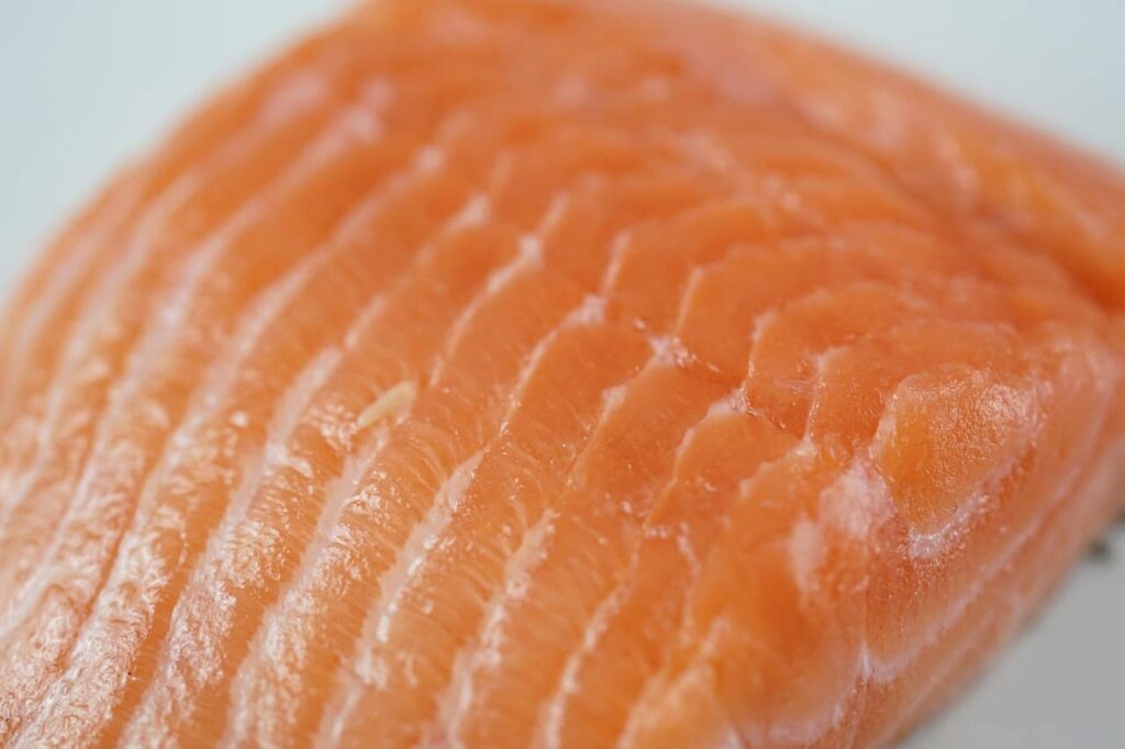 salmon