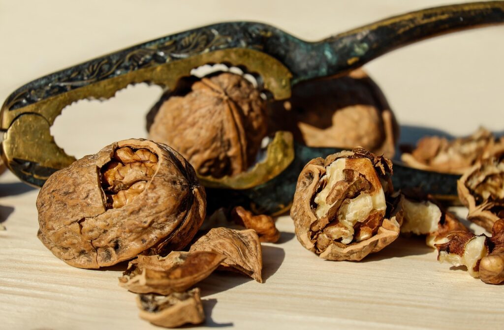 cracked walnuts