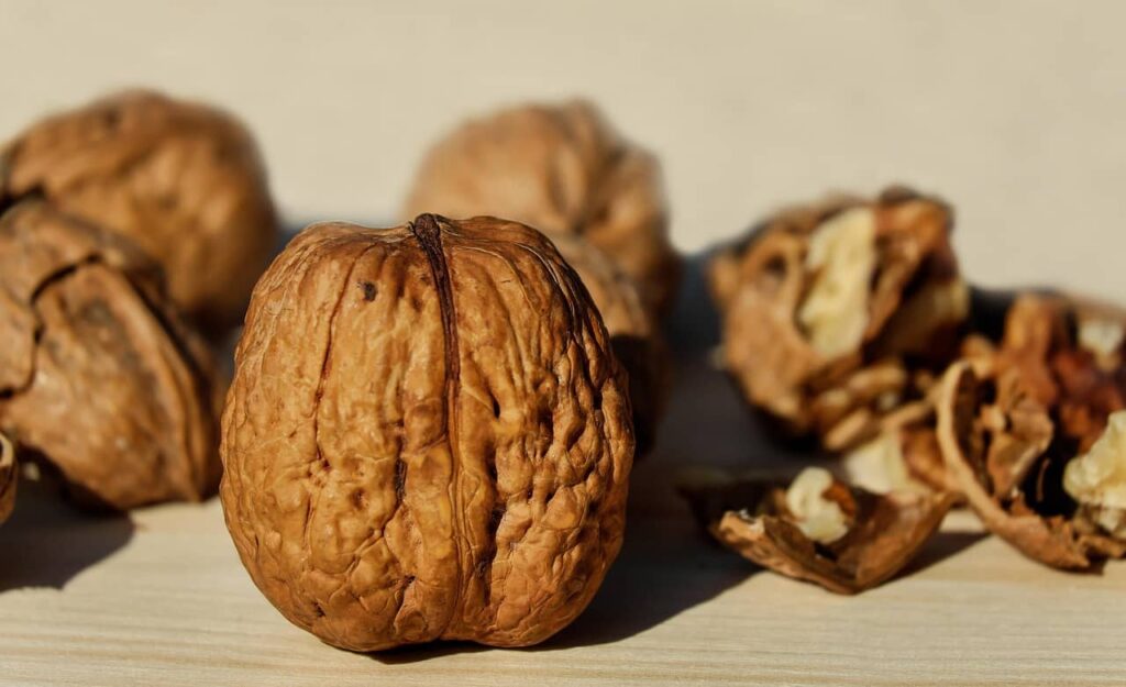 Walnuts rich in antioxidants and nutrients for youthful skin